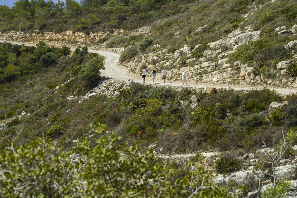 Vacaciones activas en el Parque Natural de la Sierra de Irta con alojamiento en la costa. Paseo por el Parque Natural de la Sierra de Irta al atardecer, cerca de alquileres turísticos.